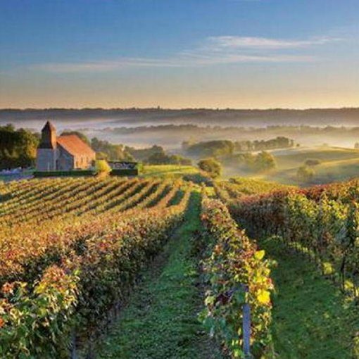 Vignerons de Madiran 2